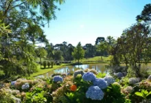 5 DESTINOS FLORIDOS NO BRASIL NA PRIMAVERA