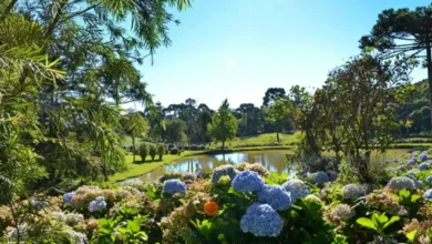 5 DESTINOS FLORIDOS NO BRASIL NA PRIMAVERA