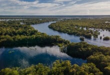 Cruzeiro fluvial navegando pelos rios da Amazônia em meio à floresta alagada, visto de cima.