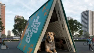 Instalação artística em formato de livro aberto formando um abrigo, com um cachorro deitado em seu interior, em espaço público próximo ao Ibirapuera.