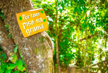 Placa com a mensagem “Por favor pise na grama” fixada em árvore ao lado de escadaria em área arborizada do Parque Maeda.