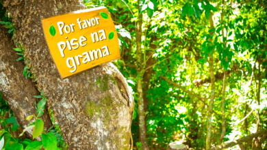 Placa com a mensagem “Por favor pise na grama” fixada em árvore ao lado de escadaria em área arborizada do Parque Maeda.