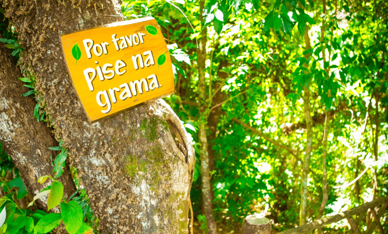 Placa com a mensagem “Por favor pise na grama” fixada em árvore ao lado de escadaria em área arborizada do Parque Maeda.
