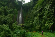 Trilheira de costas usando mochila rosa caminha em direção a uma alta cachoeira cercada por paredões de musgo e samambaias gigantes.