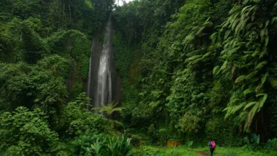 Trilheira de costas usando mochila rosa caminha em direção a uma alta cachoeira cercada por paredões de musgo e samambaias gigantes.