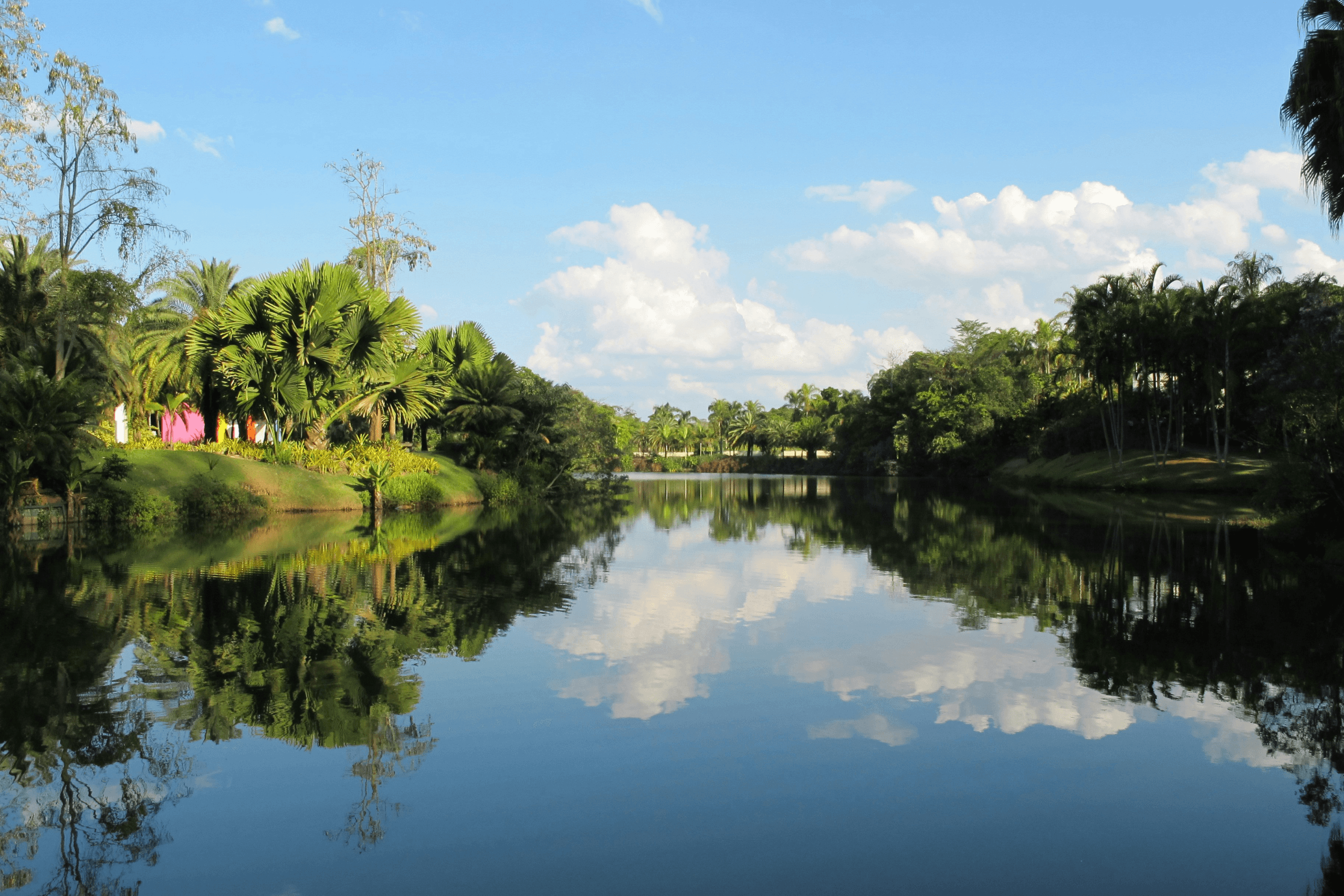 Lago cercado por palmeiras e árvores tropicais sob céu azul.