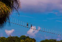 Duas pessoas com equipamentos de segurança atravessam uma ponte pênsil estreita sob um céu azul, com densa vegetação verde abaixo.