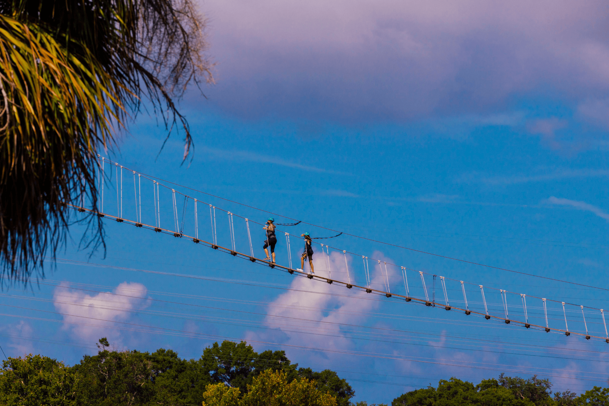 Duas pessoas com equipamentos de segurança atravessam uma ponte pênsil estreita sob um céu azul, com densa vegetação verde abaixo.