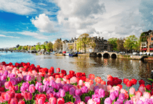 Paisagem clássica da primavera europeia com tulipas coloridas em primeiro plano e os canais de Amsterdã ao fundo durante o cruzeiro fluvial.