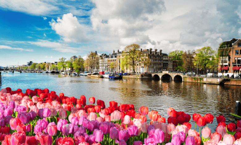 Paisagem clássica da primavera europeia com tulipas coloridas em primeiro plano e os canais de Amsterdã ao fundo durante o cruzeiro fluvial.