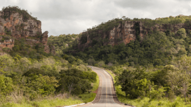 Uma estrada de asfalto cinza com faixas amarelas centrais atravessando um vale verde cercado por grandes paredões de rocha e morros cobertos de árvores.