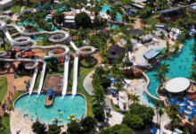 Vista aérea de um grande parque aquático com diversos toboáguas brancos sinuosos, piscinas de águas azuis claras e áreas arborizadas com palmeiras.