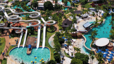 Vista aérea de um grande parque aquático com diversos toboáguas brancos sinuosos, piscinas de águas azuis claras e áreas arborizadas com palmeiras.