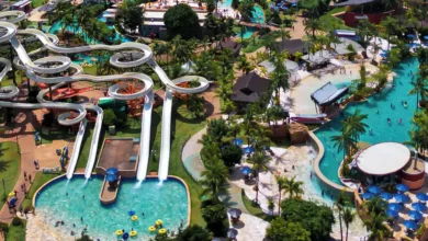 Vista aérea de um grande parque aquático com diversos toboáguas brancos sinuosos, piscinas de águas azuis claras e áreas arborizadas com palmeiras.