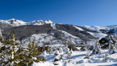 Base da montanha Cerro Catedral em Bariloche com pinheiros cobertos de neve, chalés alpinos ao fundo e céu azul limpo.