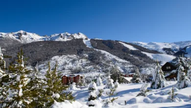 Base da montanha Cerro Catedral em Bariloche com pinheiros cobertos de neve, chalés alpinos ao fundo e céu azul limpo.