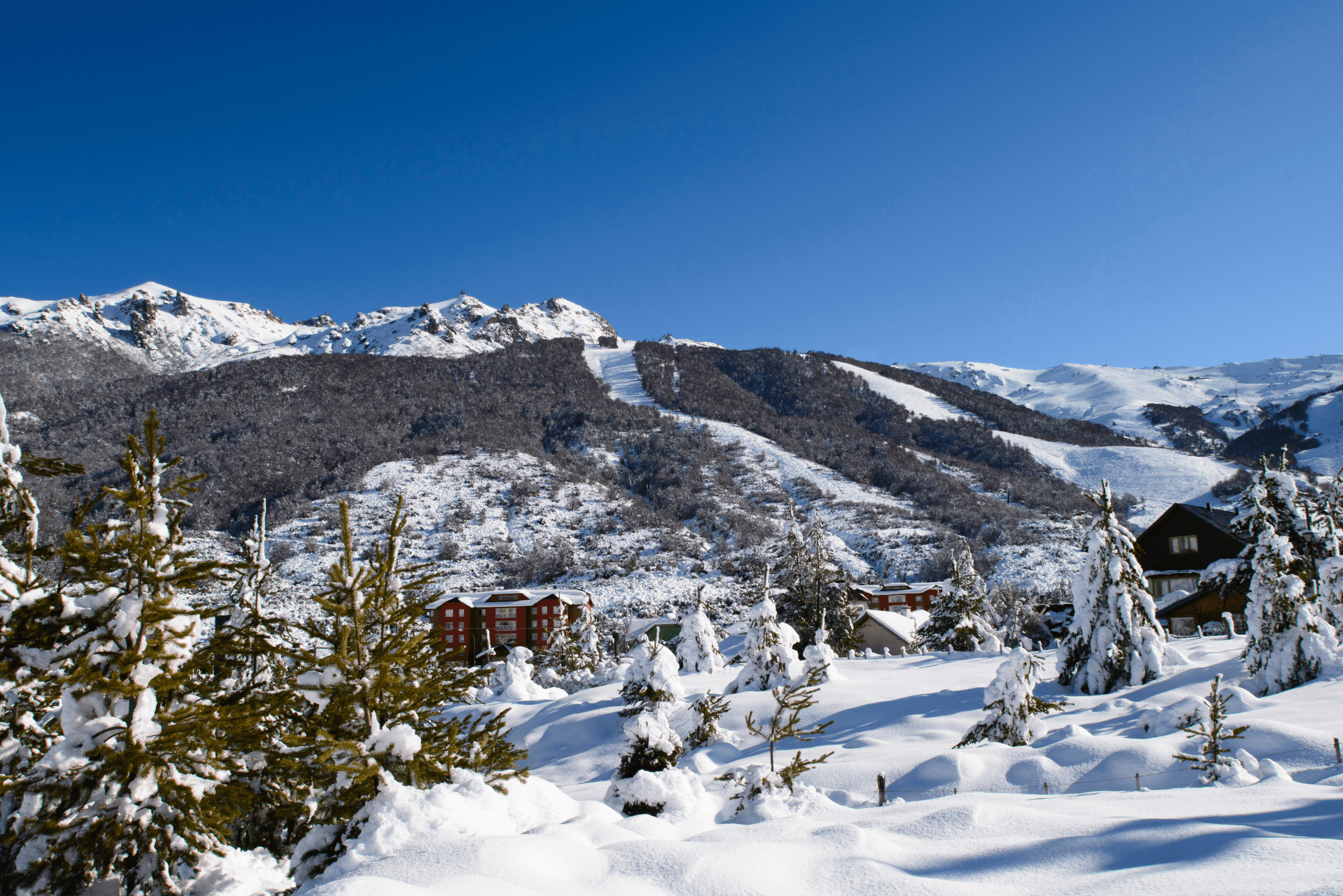 Base da montanha Cerro Catedral em Bariloche com pinheiros cobertos de neve, chalés alpinos ao fundo e céu azul limpo.