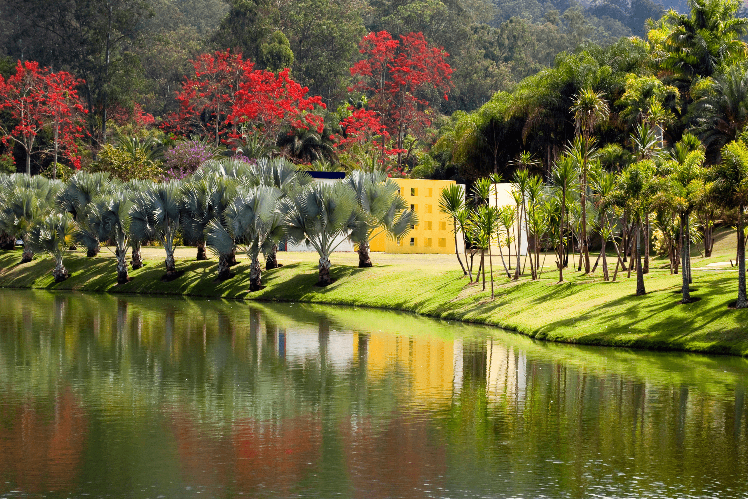 Lago com gramado, palmeiras e uma estrutura arquitetônica amarela ao fundo.