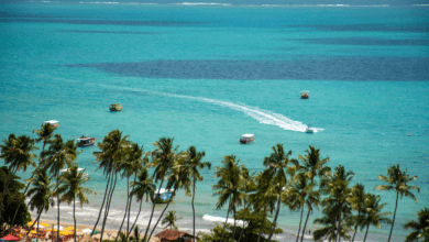 Vista aérea da praia de Maragogi, com mar azul, coqueiros e faixa de areia, destino turístico popular no Nordeste.