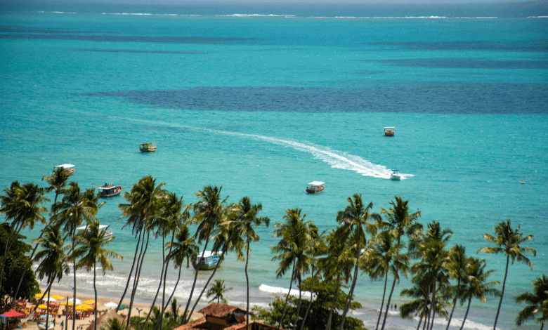 Vista aérea da praia de Maragogi, com mar azul, coqueiros e faixa de areia, destino turístico popular no Nordeste.