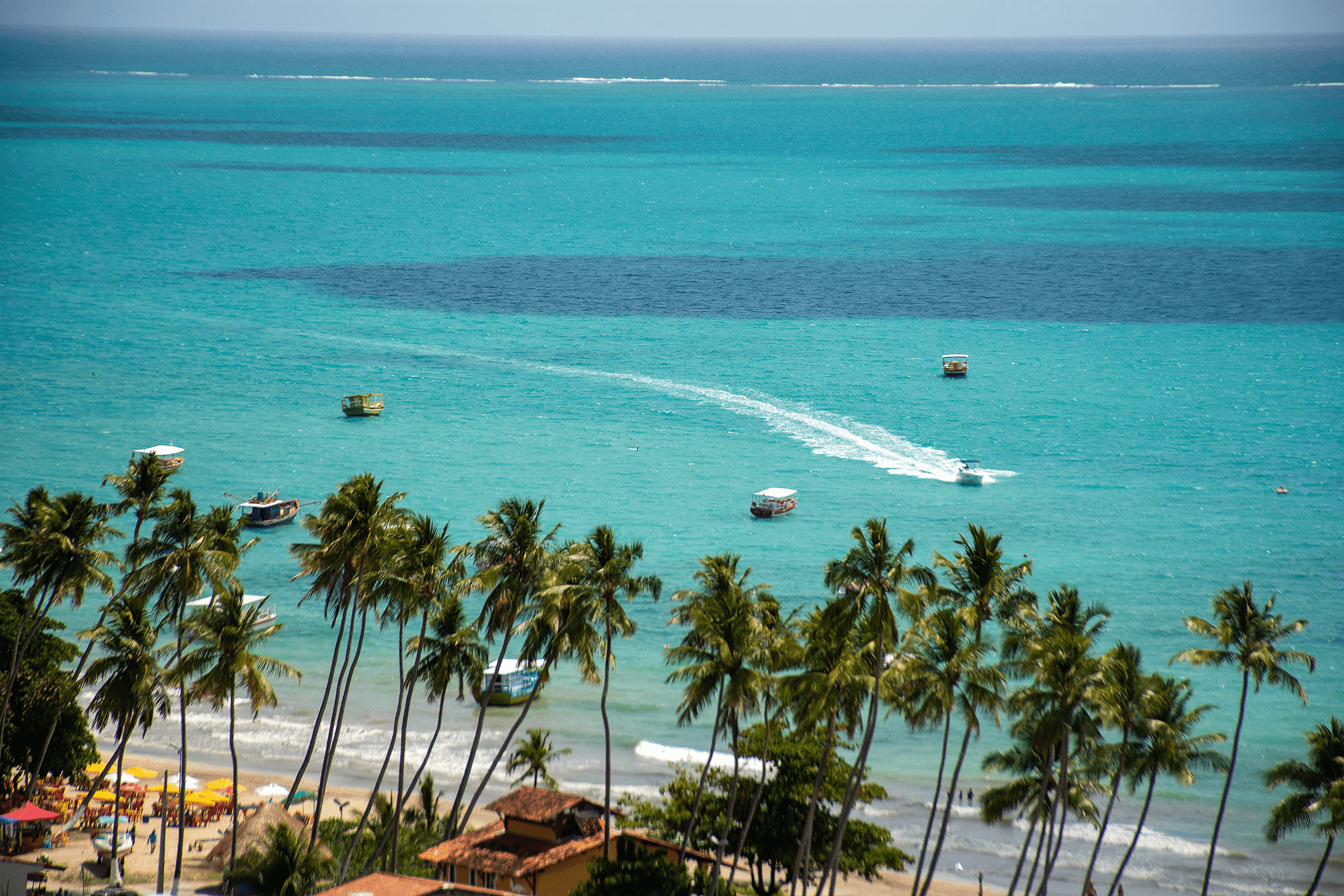 Vista aérea da praia de Maragogi, com mar azul, coqueiros e faixa de areia, destino turístico popular no Nordeste.