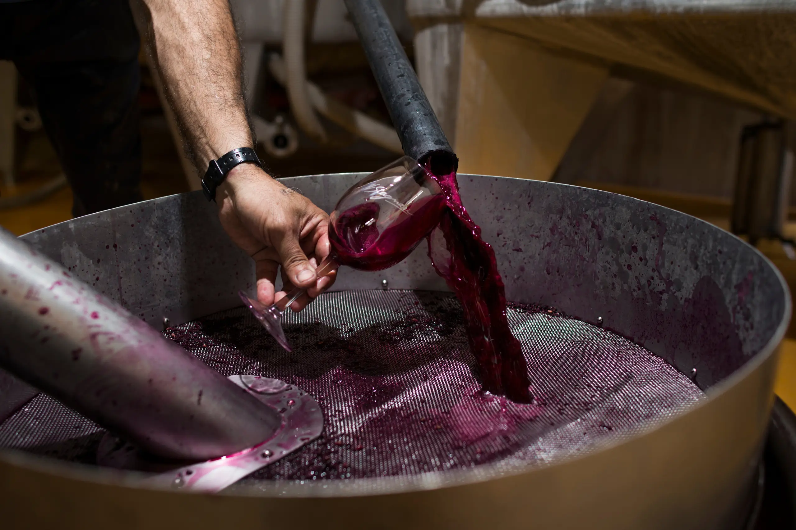 Enólogo coletando amostra de vinho tinto durante processo de produção em vinícola uruguaia