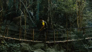 Viajante com mochila atravessando ponte suspensa de madeira em meio à vegetação densa da Trilha Caminhos da Ibiapaba