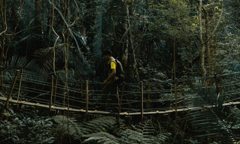 Viajante com mochila atravessando ponte suspensa de madeira em meio à vegetação densa da Trilha Caminhos da Ibiapaba