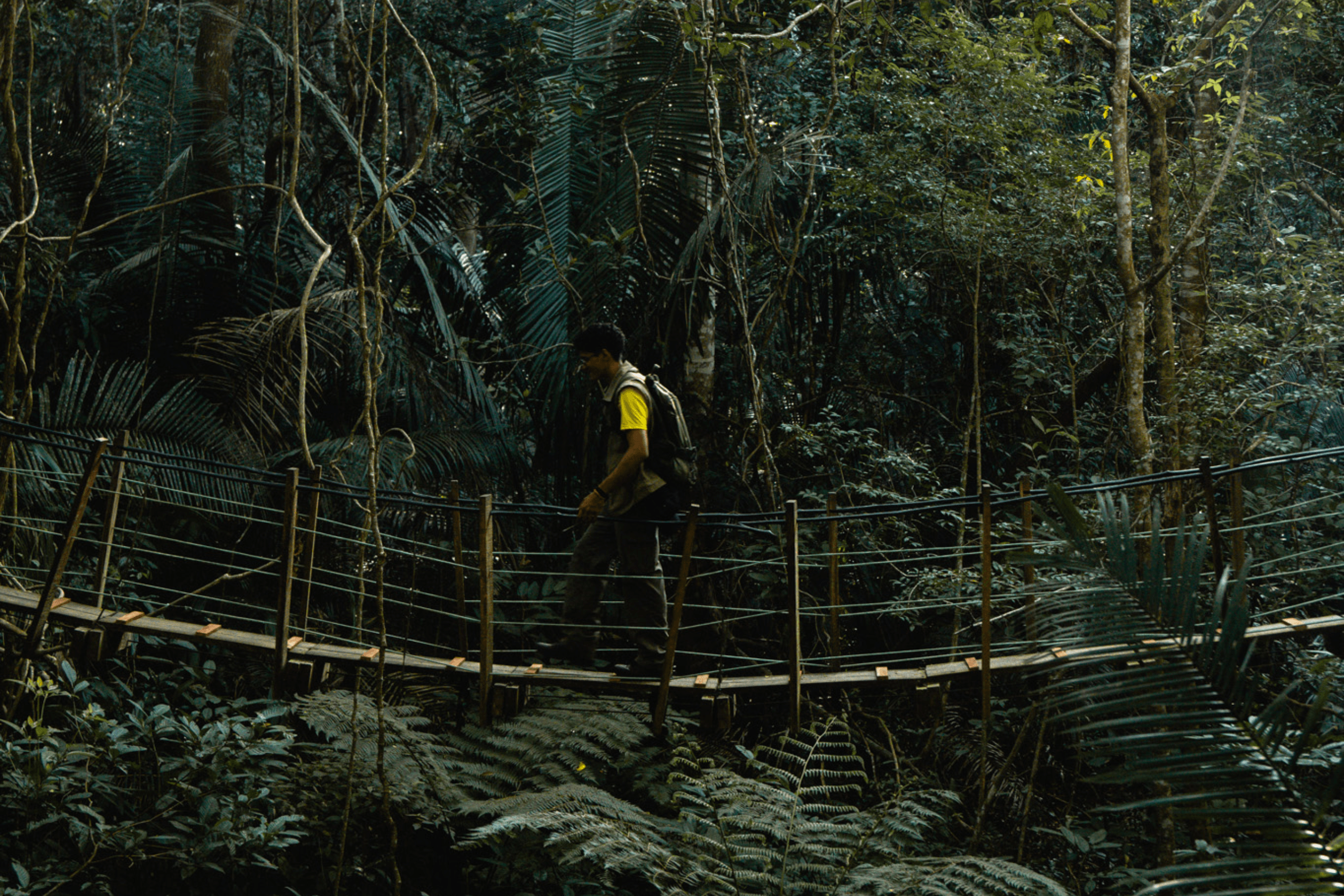 Viajante com mochila atravessando ponte suspensa de madeira em meio à vegetação densa da Trilha Caminhos da Ibiapaba