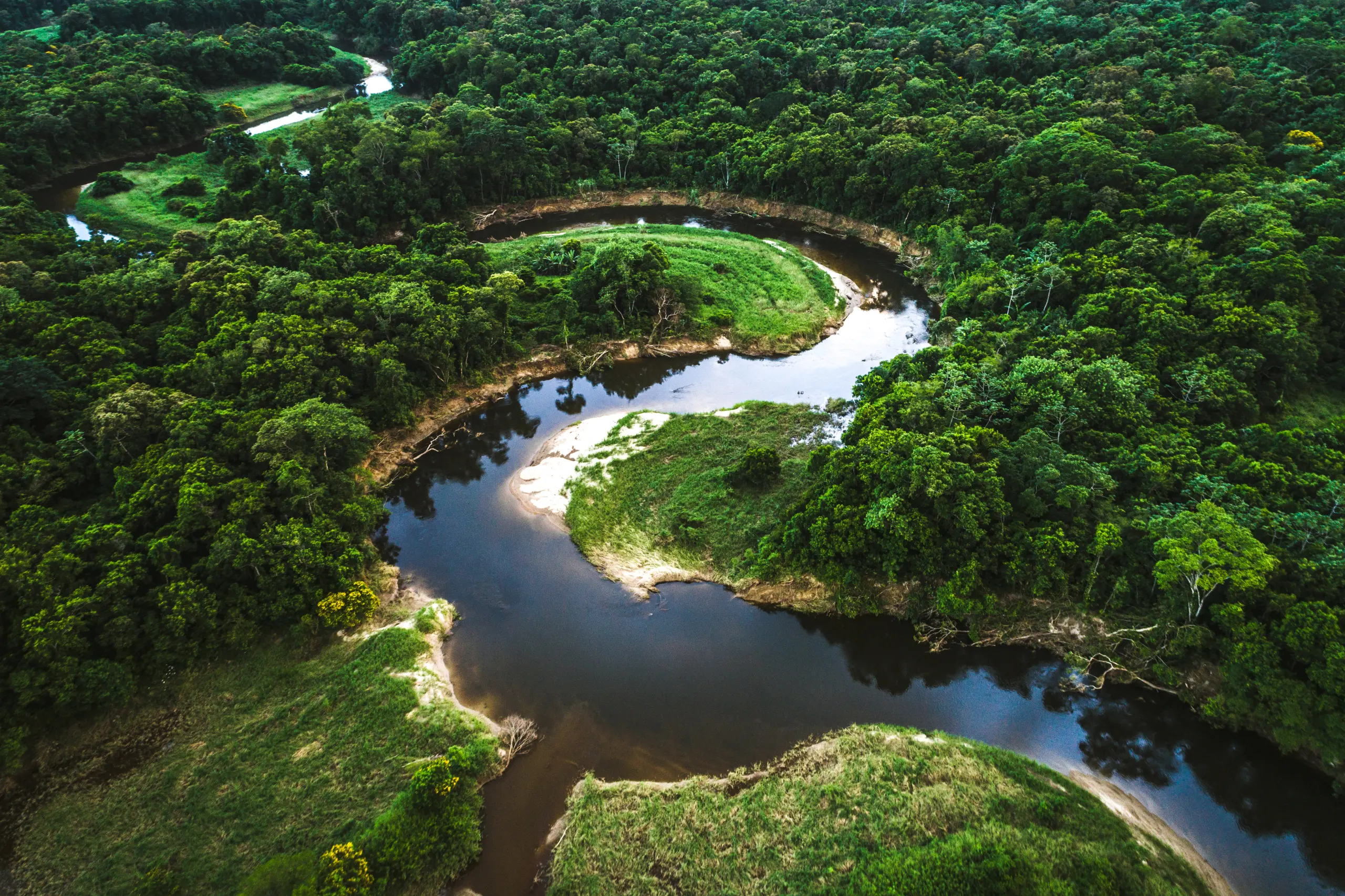 Vista aérea de rio sinuoso cortando floresta amazônica densa com vegetação verde intensa