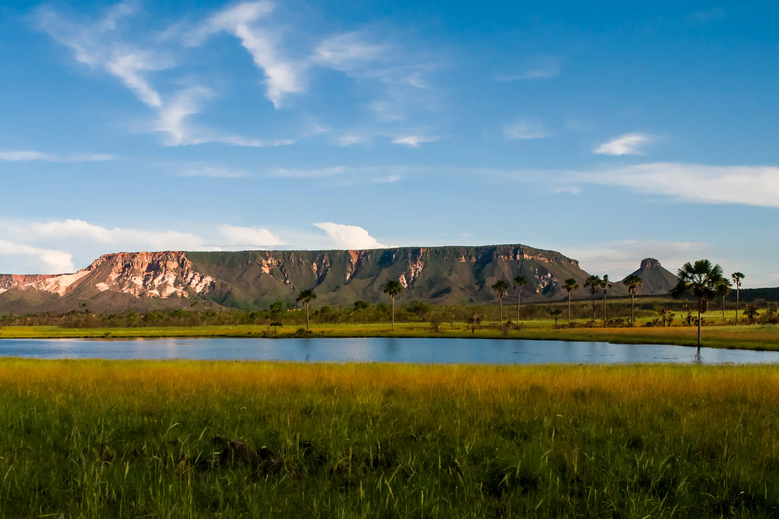 Paisagem do Jalapão com lago, campo verde, buritis e chapadas ao fundo sob céu azul, Tocantins