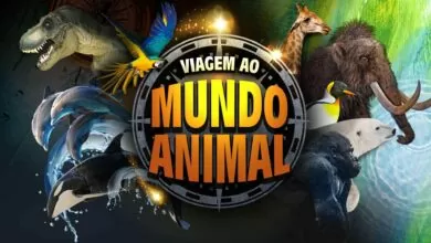 Banner de divulgação do evento tendo como destaque imagens de dinossauro, animas da floresta e do mar